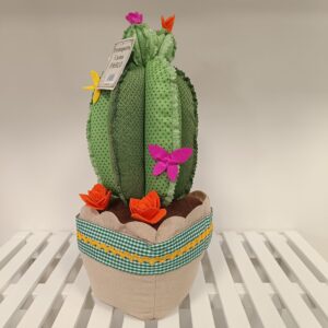 Fermaporta Cactus Pablo